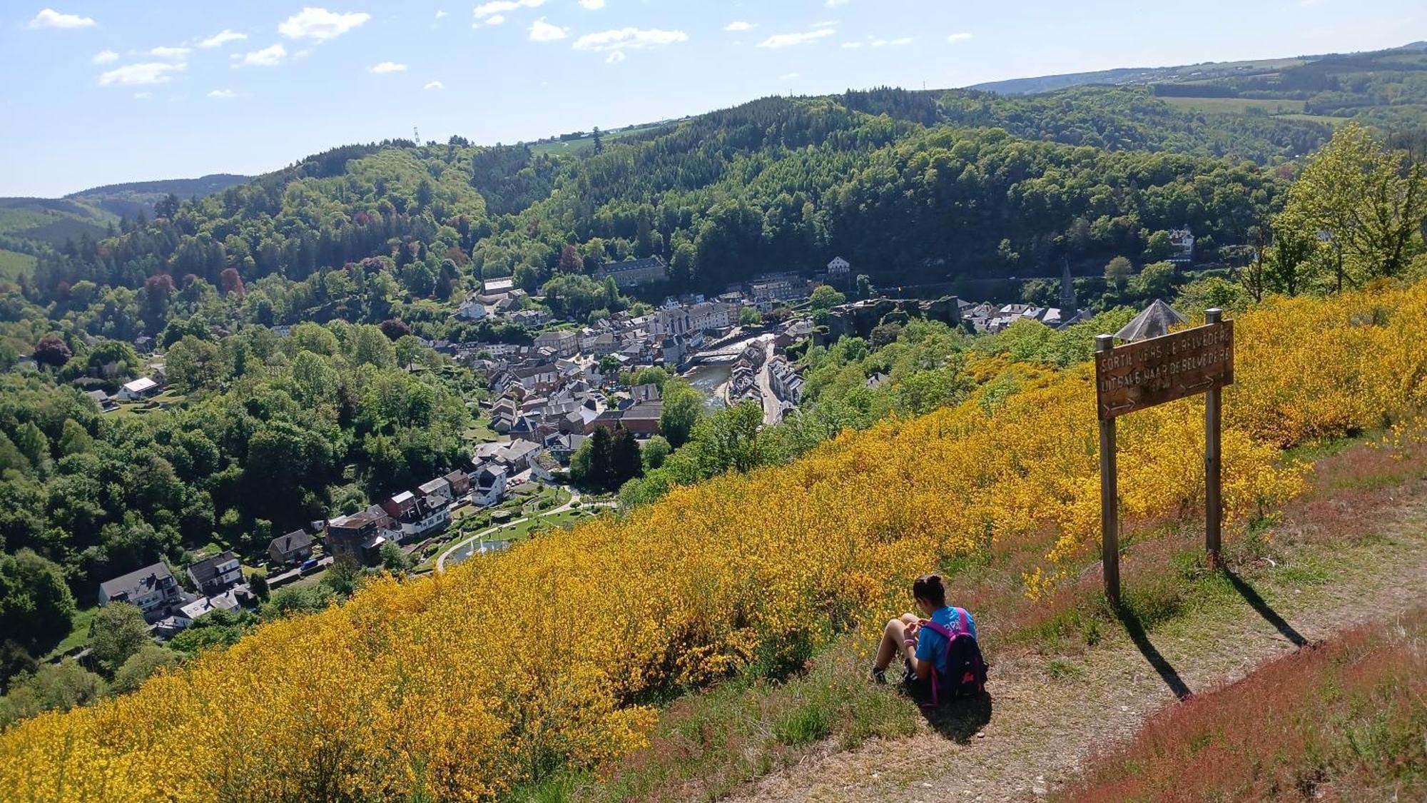 L'Abri Apartment La-Roche-en-Ardenne Luaran gambar